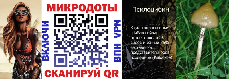 Галлюциногенные грибы Magic Shrooms  хочу   Дно 